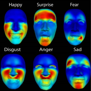 source: http://sse.royalsociety.org/